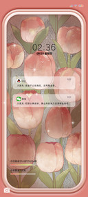 浪漫郁金香光影