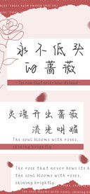 永不低头的蔷薇
