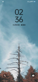 简约红叶灰木