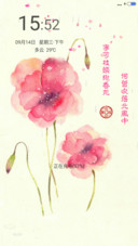 红郁金香