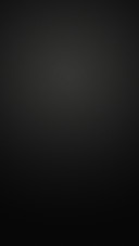质简