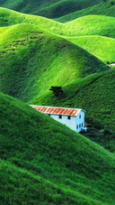 Red roof 2