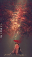 AE樱花仙子