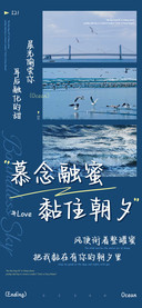 慕念融蜜黏住朝夕