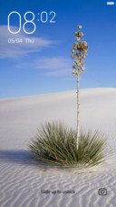 Desert