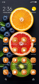 Citrus Contrast