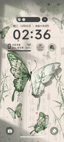 光影蝴蝶 玉竹绿
