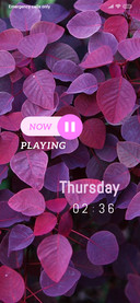 Plant_5