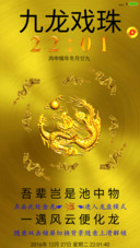 九龙戏珠