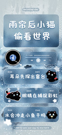 雨帘后小猫偷看世界