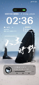 孤独的鲸OS