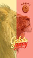 GS Galatasaray 1905