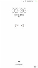 简约白猫