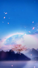 蓝调花舞