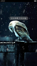 猫头鹰【自定义头像,文字,下雨特效】