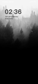 Misty jungle