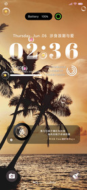INS 椰林夏梦