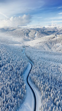 The Road Passes Through The Snow-covered Forest
