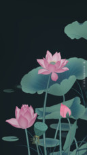 荷小花