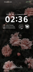 Rose's Love