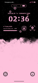 Black Pink Berry