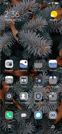 smell of Christmas