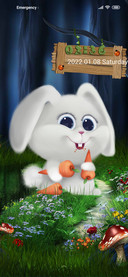 Loppy eared rabbit