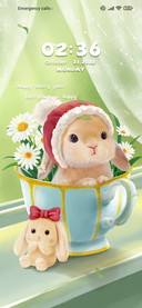 Meng+in+teacup