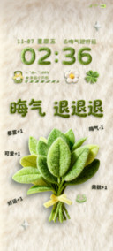 毛绒柚子叶晦气退散
