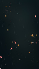 暗夜·醉玲珑