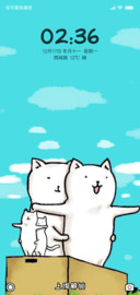 泰坦尼克猫