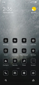 Foggy Forest
