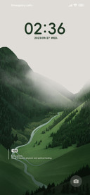 Cloud Forest