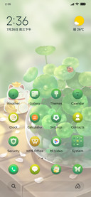 Green+luck