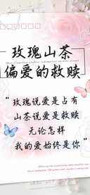 玫瑰山茶偏爱的救赎