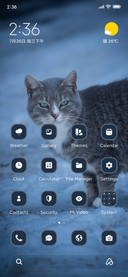 Snow Cat