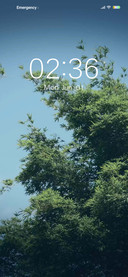 Scene tree