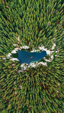 A bird seye view of the trees by the lake