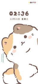 呆呆猫