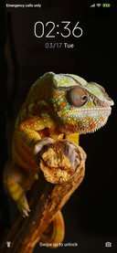 Chameleon_3MDS