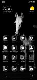 black horse