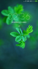 绿叶