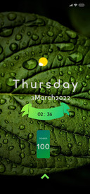 TulipDrop