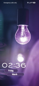 Bulb