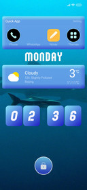 Whale_5