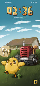 Chicken in Farm
