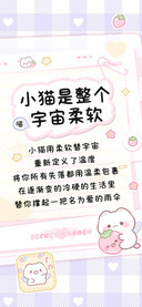 小猫是整个宇宙柔软
