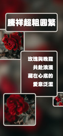 腾祥超粗圆繁