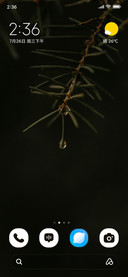 Pine Drople