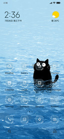 Swimming Cat